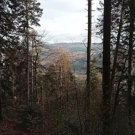Apartment Cosy Calme & Senones (Vosges)