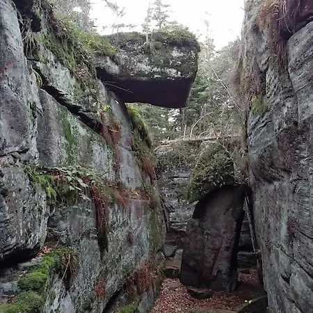 Cosy Calme & Apartman Senones